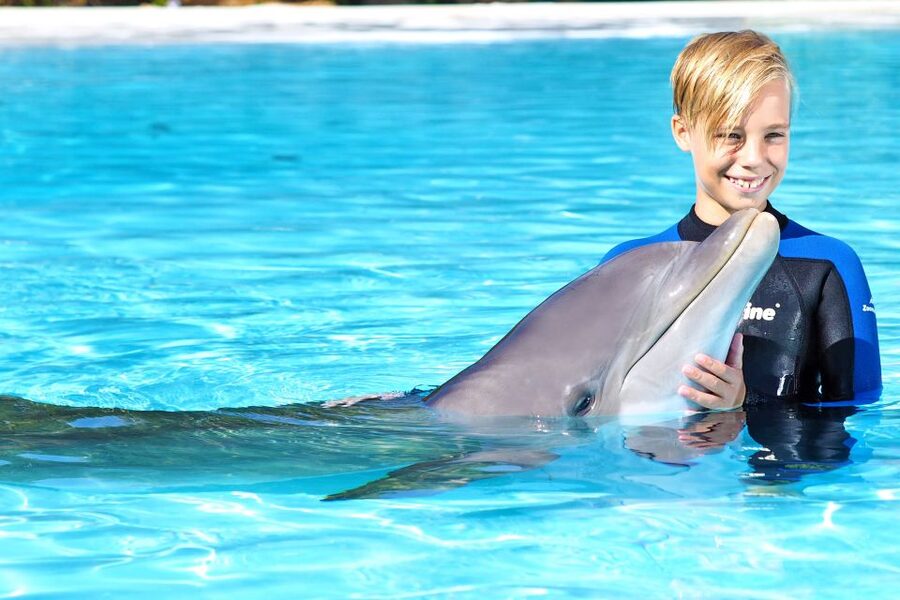 Algarve Zoomarine Ticket and Dolphin Emotions Experience - Zoomarine on your day: how to use the hours before and after