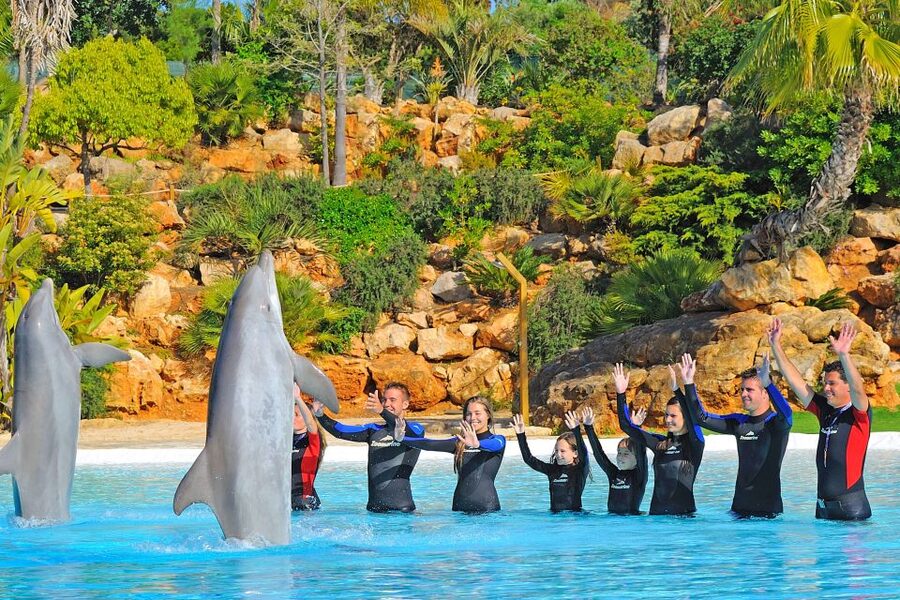 Algarve Zoomarine Ticket and Dolphin Emotions Experience - Who should book Dolphin Emotions, and who should skip it