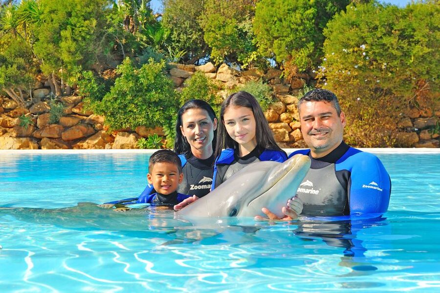 Algarve Zoomarine Ticket and Dolphin Emotions Experience - Choosing Encounter vs Exclusive (age, swim, and how the session changes)