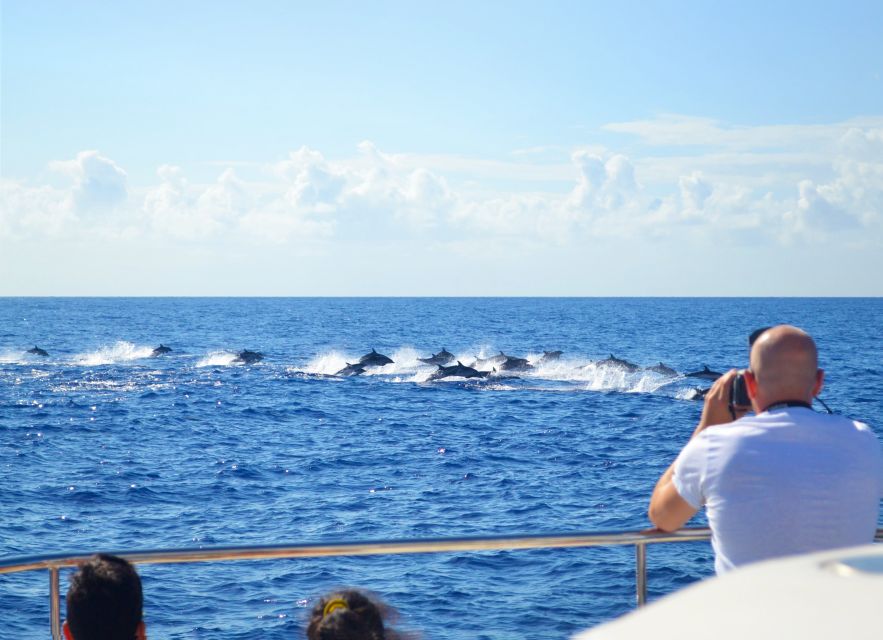 All Inclusive Whale and Dolphin Watching Luxury Tour - From Funchal docks to open sea: what the start feels like