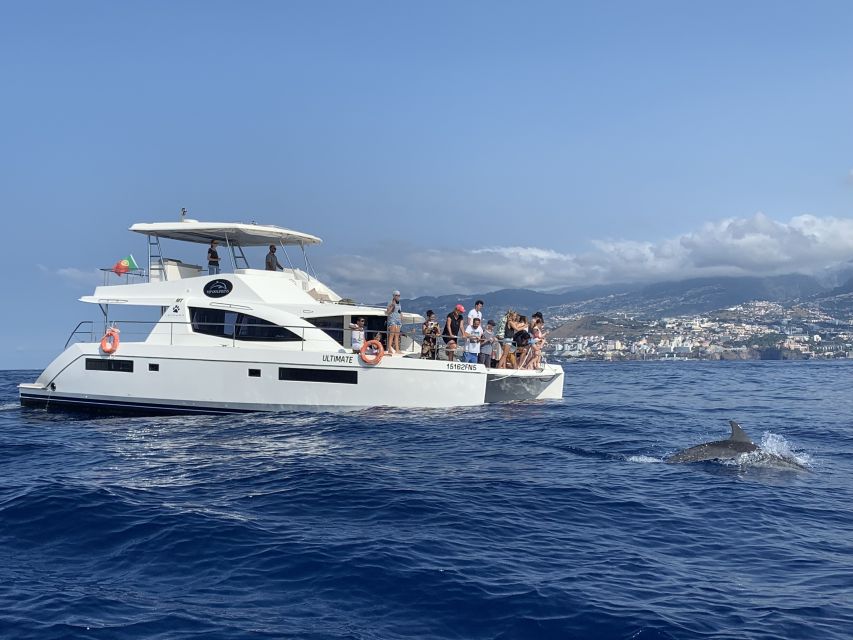 All Inclusive Whale and Dolphin Watching Luxury Tour - Snorkeling gear, comfort touches, and how the crew keeps you feeling safe