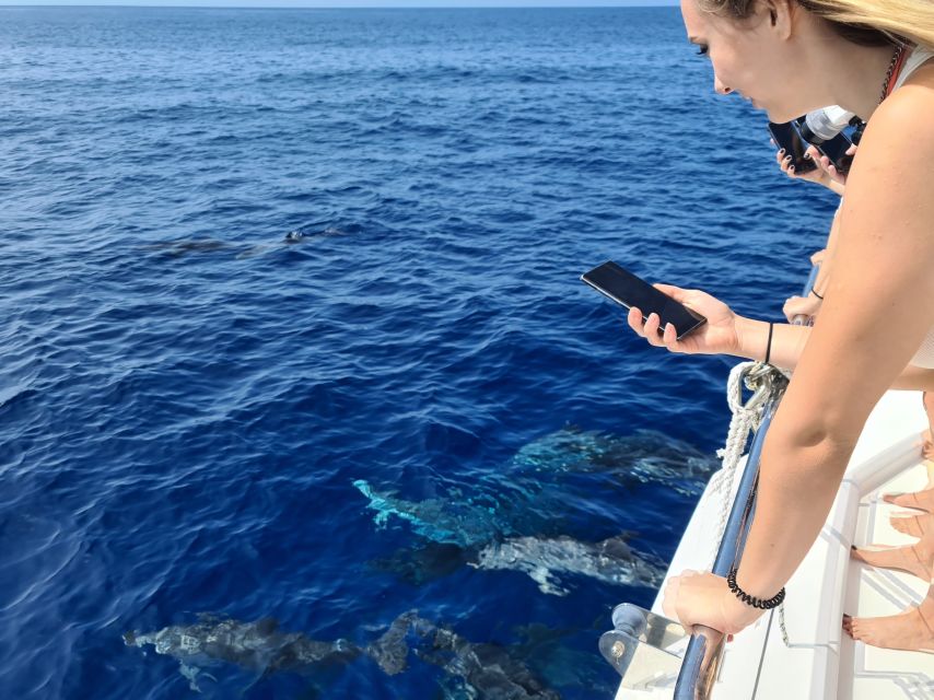All Inclusive Whale and Dolphin Watching Luxury Tour - Drinks and food: unlimited open bar plus Madeira snacks that actually taste local