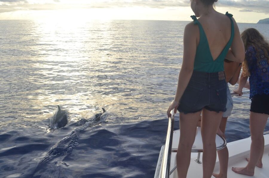 All Inclusive Whale and Dolphin Watching Luxury Tour - The crew personality: from skipper to guide, it is part of the show