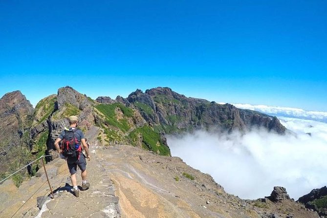 All Madeira In 2 Days Tour - The guides and driving: why names show up in the reviews