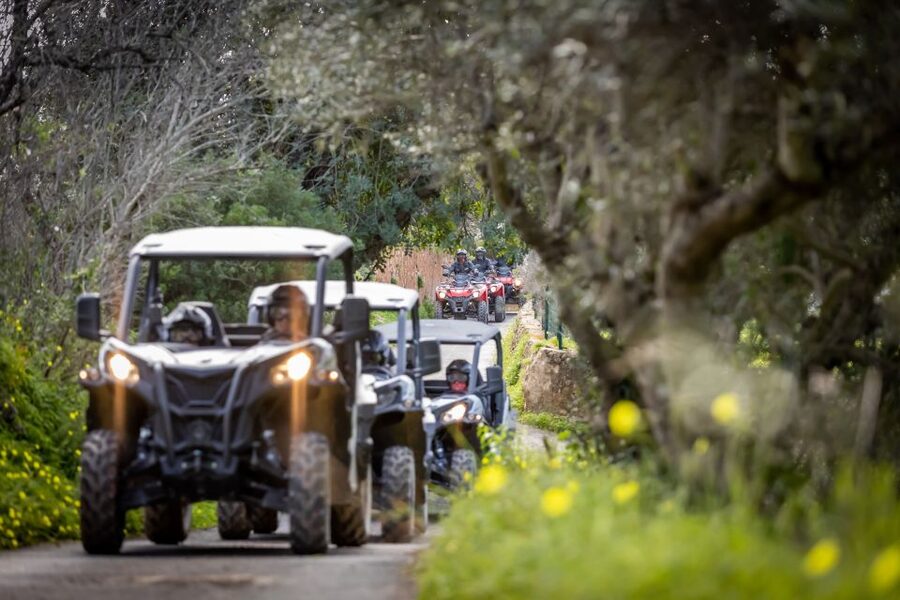 Almancil: Algarve Guided Off-Road Buggy Adventure - Driving the Algarve Interior: Almond Groves, Carob Trees, and Algibre Riverside