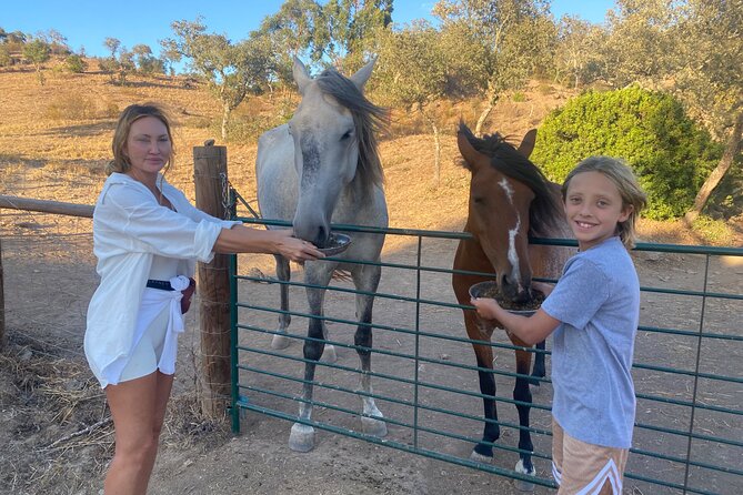 Alpaca Farm MamaAdama Meet & Feed - Beyond the alpacas: wild horses and the wider farm property