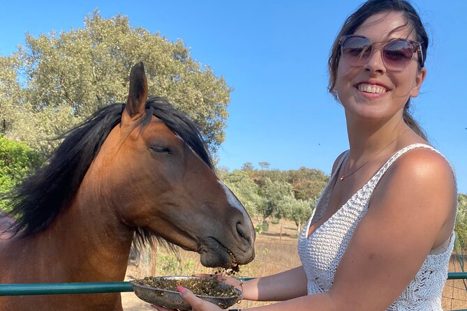 Alpaca Farm MamaAdama Meet & Feed - Practical details: shoes, group size, and what to bring