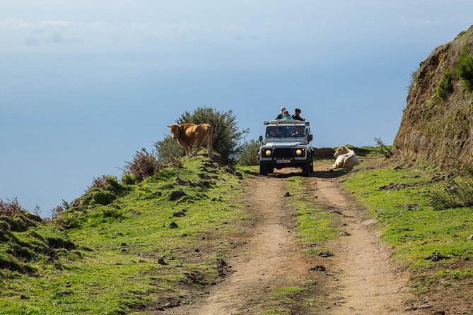 Amazing West - Jeep Safari Tour - Full Day - Shared Tour - Key highlights to know before you go