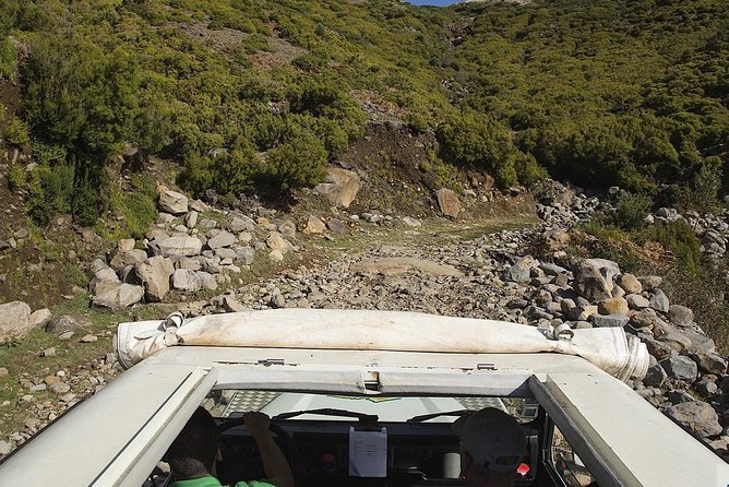 Amazing West - Jeep Safari Tour - Full Day - Shared Tour - The high plateau and the Laurissilva off-road feeling
