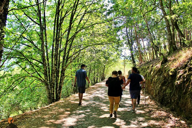 An adventure through the Schist Villages of Lousã - Schist Villages of Lousã: Why This 3 to 4 Hour Trip Works
