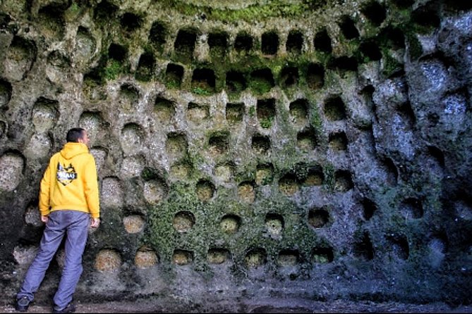 ARCHEOLOGY TOUR (Full Day Private Tour) - Terceira archaeology, explained like evidence on stone