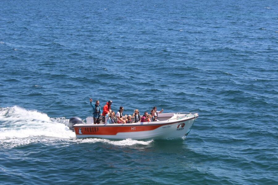 Armação de Pêra: Guided Boat Tour of Benagil's 15 Best Caves - Should you book Aurora Boat Trips for Benagil’s top caves?