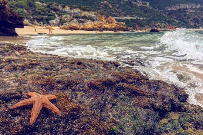Arrabida Safari – Europe's Most Beautiful Beach & Hidden Gems - Arrábida Starts With Lisbon’s Big Entrance, the 25 April Bridge