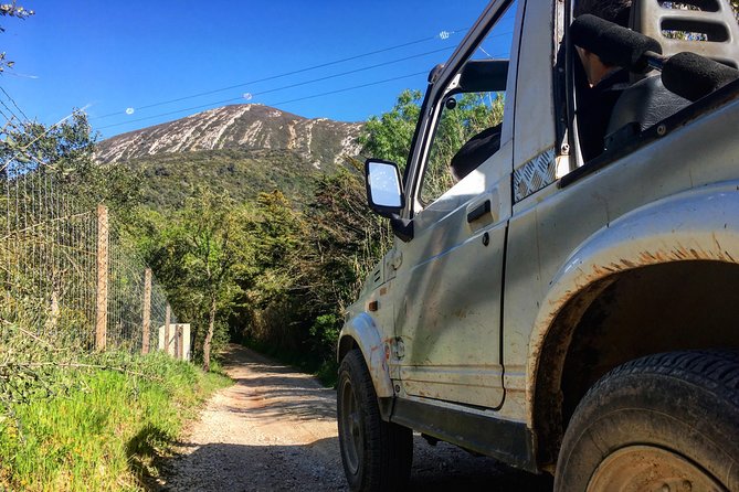 Arrabida Safari – Europe's Most Beautiful Beach & Hidden Gems - Jeep Cabrio Through Cork, Centenary Oaks, Vineyards, and Old Farms