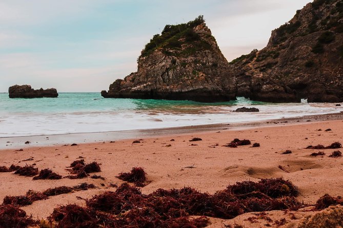 Arrábida Secret Beaches and Caves with Snorkeling Stop - Value and what’s included, really