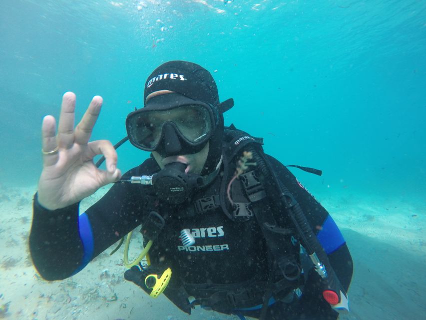Arrábida - Sesimbra: Eco-Friendly Beginner's Scuba Diving - Key Takeaways Before You Go
