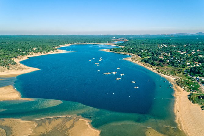 Arrabida Wine Tour from Lisbon: Wineries, Tastings & Tile Factory - Key highlights worth planning around