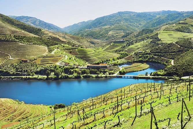 Authentic Small Group Douro Wine Tour with Lunch & River Cruise - From Porto downtown at 8:00 AM, the day starts smooth
