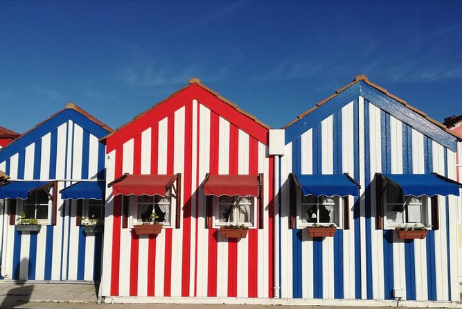 Aveiro and Coimbra Small Group Tour with Moliceiro Boat Cruise - Porto departure, pickup timing, and how to plan your morning