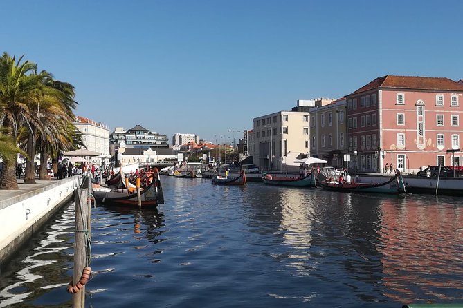Aveiro and Coimbra Small Group Tour with Moliceiro Boat Cruise - Costa Nova’s coastal pause between cities
