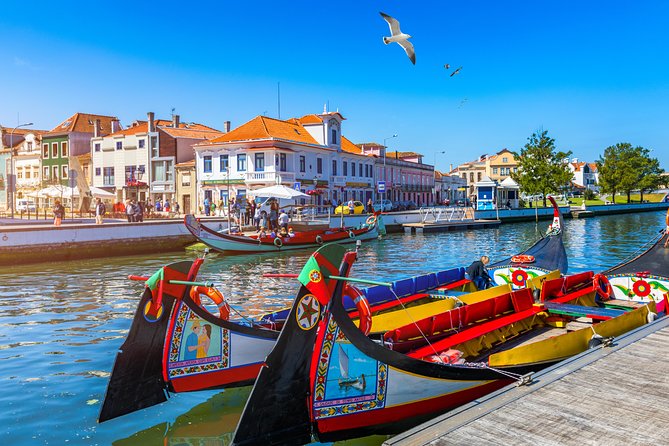 Aveiro and Costa Nova Half Day Tour from Porto with Boat Ride - Key highlights to plan around