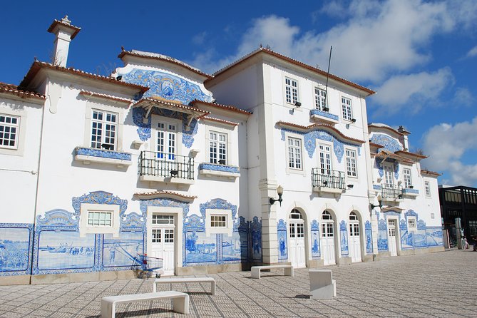 Aveiro and Costa Nova Half Day Tour from Porto with Boat Ride - Costa Nova: striped houses, beach road photos, and a quick reset