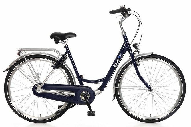 Aveiro Bike Rental - 5/8 hours - Choosing the Right Bike: Urban, Electric, Tandem, and More