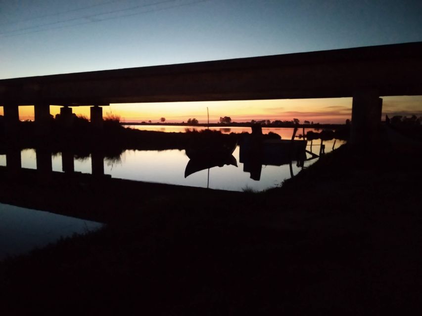 Aveiro: Boat Cruise and City Walking Tour with Sweet Tasting - Key highlights to look for