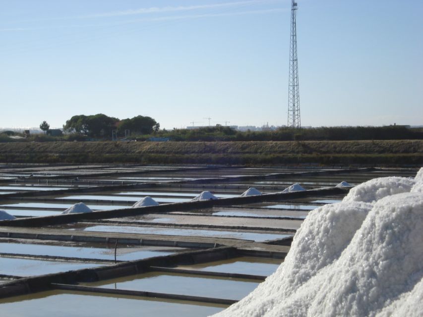 Aveiro: Boat Cruise and City Walking Tour with Sweet Tasting - First Stop at M Bakery, then Aveiro’s Sacred Core on Foot
