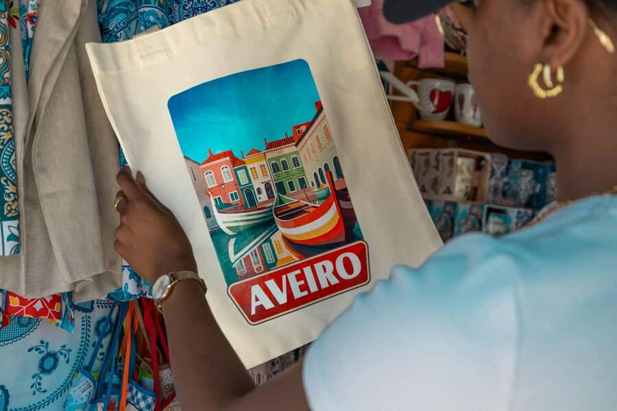 Aveiro: Half-Day Tour from Porto with Cruise - On the Road: What the Van Transfer Is Really Doing