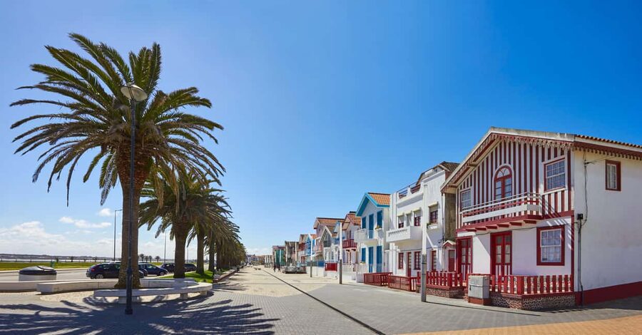 Aveiro: Half-Day Tour from Porto with Cruise - Timing, Group Size, and Why the Schedule Feels Tight