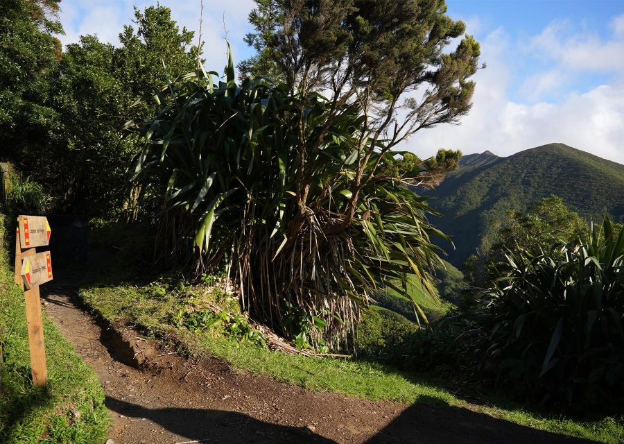 Azores: São Miguel and Lagoa do Fogo Hiking Trip - When Weather Changes the Plan (and You Still Get a Good Day)