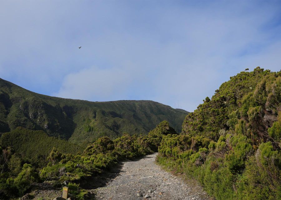 Azores: São Miguel and Lagoa do Fogo Hiking Trip - From Ponta Delgada Pickup to Água D’Alto Start