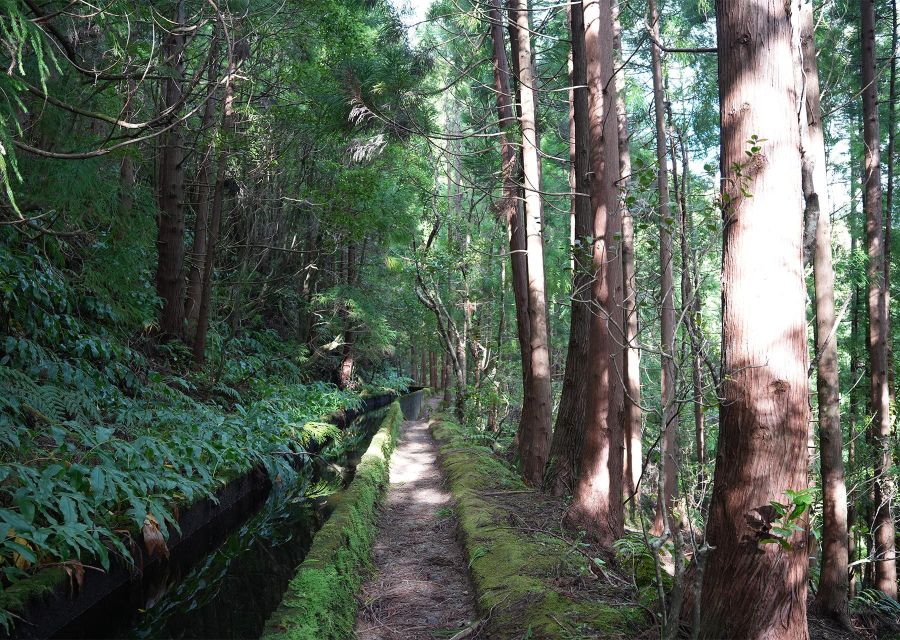 Azores: São Miguel and Lagoa do Fogo Hiking Trip - Vila Franca do Campo Views and the Levada Water Channel