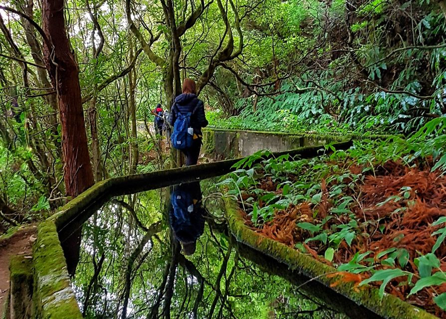 Azores: São Miguel and Lagoa do Fogo Hiking Trip - Lagoa do Fogo: The Lake Picnic That Turns Photos Into a Break
