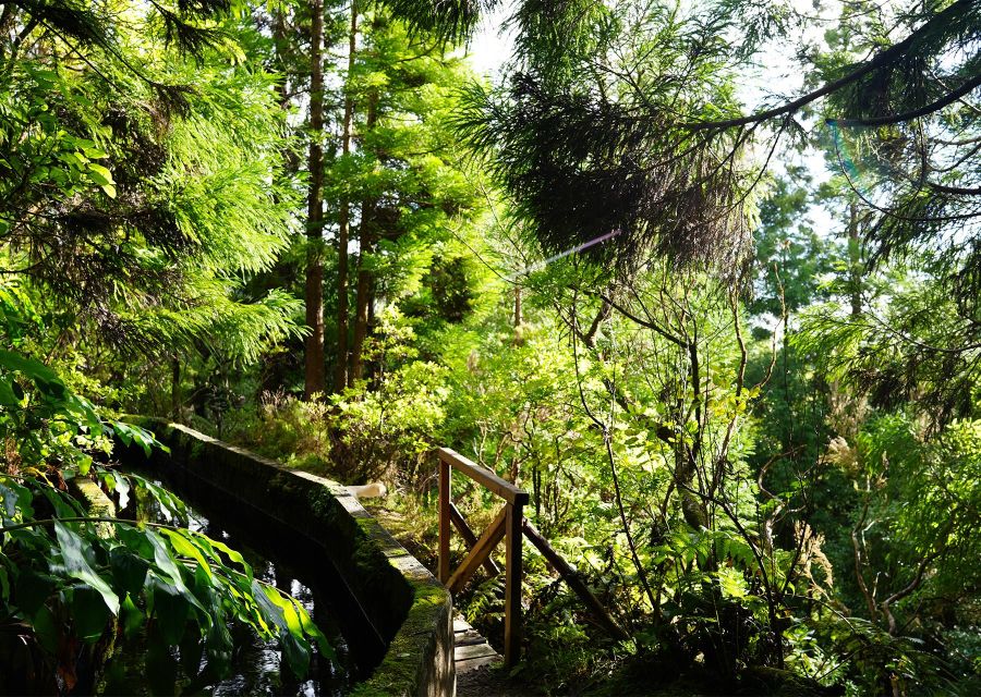 Azores: São Miguel and Lagoa do Fogo Hiking Trip - South Coast Stops on the Return: Caloura and Quick Views