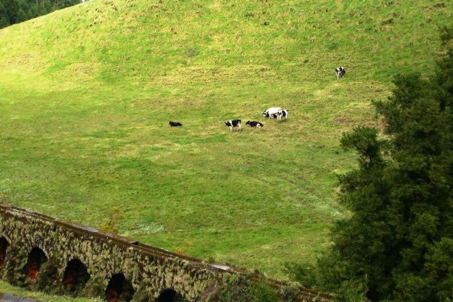 Azores: Sete Cidades Scenic Jeep Tour from Ponta Delgada - Who This Tour Suits (and Who Should Skip It)