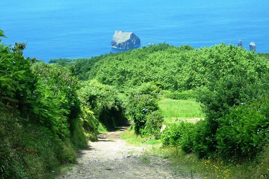 Azores: Sete Cidades Scenic Jeep Tour from Ponta Delgada - Guides, Vehicle Feel, and What the Ride Is Like