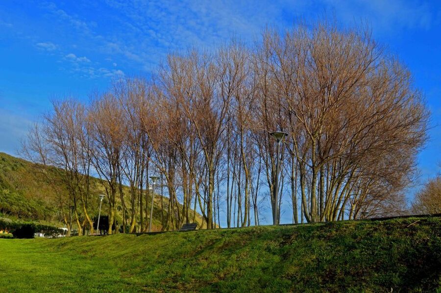 Azores: Terceira Island Full-Day Tour - Biscoitos: where the island’s character feels tangible