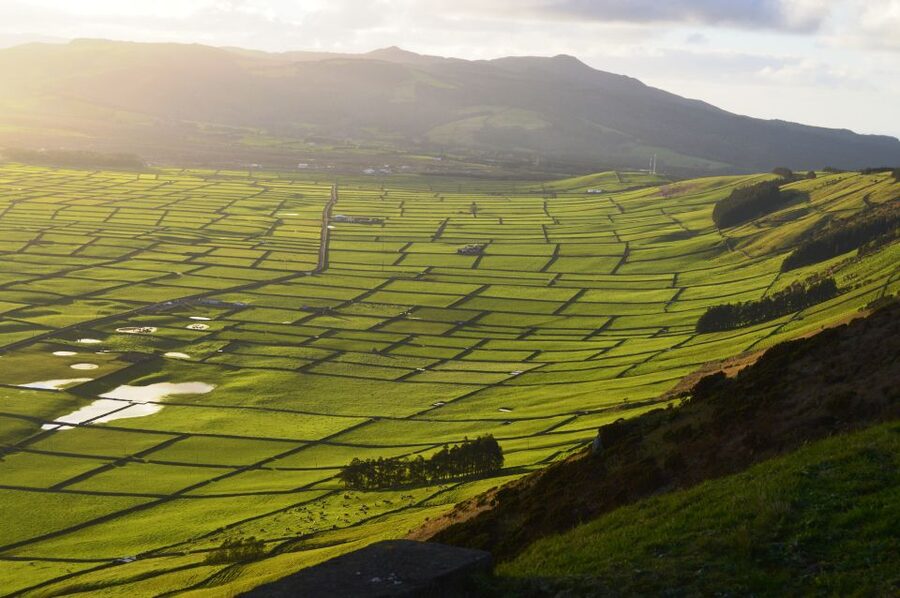 Azores: Terceira Island Full-Day Tour - Algar do Carvão is closed, so you’ll go to Gruta do Natal