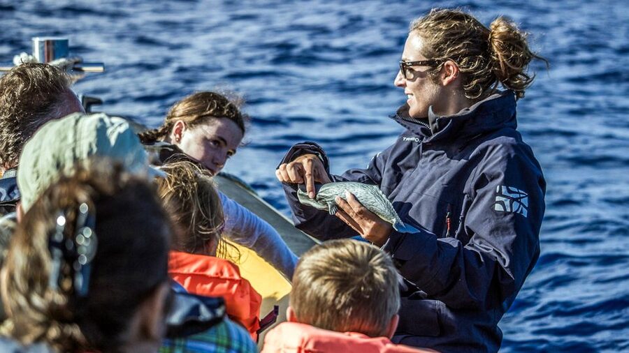 Azores Whale Watching & Islet Boat Tour - How This Tour Feels On the Body: Choppy Water Is Part of the Deal