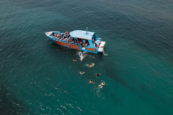 Benagil Caves and Dolphin Watching - 2.5h - Ocean dip, what to pack, and how to avoid the common mistakes