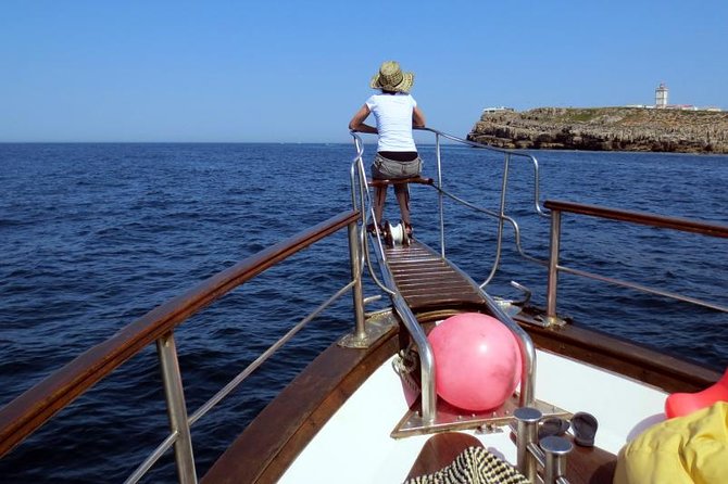 Berlenga Island Small-Group Day Trip from Lisbon - Getting to Peniche From Rossio: the morning drive you will feel