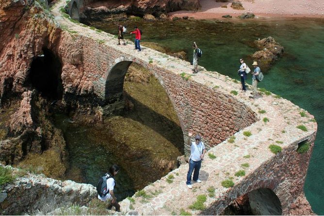 Berlenga Island Small-Group Day Trip from Lisbon - Berlenga Grande island time: the 4 hours that make the day work