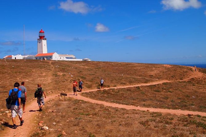Berlenga Island Small-Group Day Trip from Lisbon - Lunch, snacks, and what to budget for on Berlenga Grande