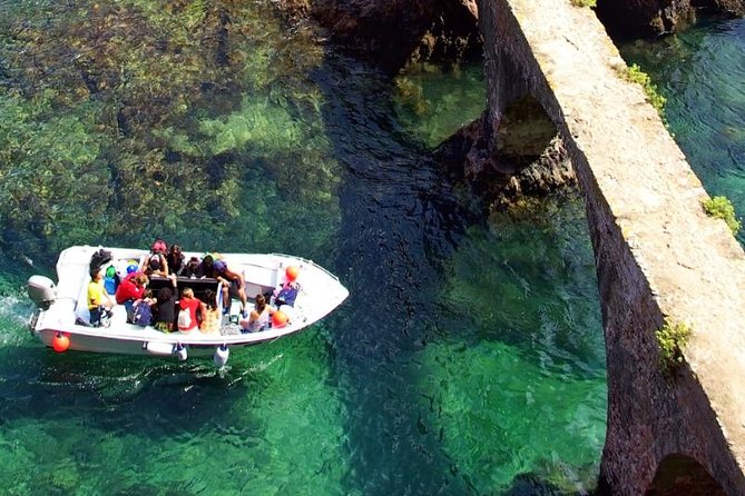 Berlenga Island Small-Group Day Trip from Lisbon - Price and value check: what you pay for and why it adds up