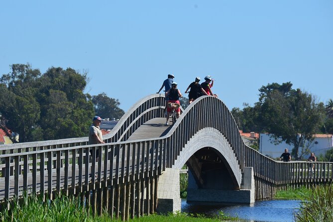 Bike or E-Bike Tour of Porto and Atlantic Coast - Pine forest riding between Esmoriz and Furadouro