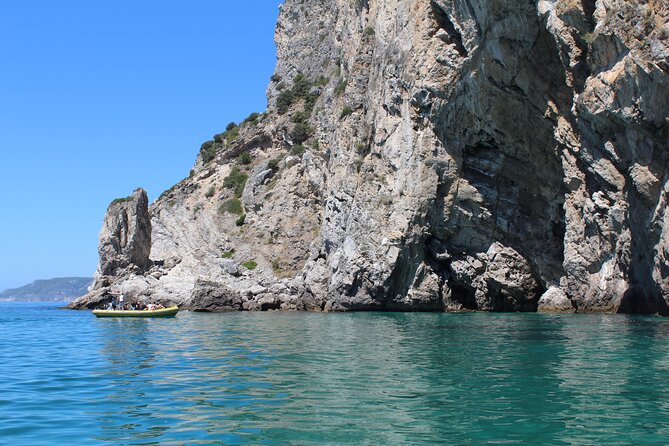 Boat Tour - Arrábida Coves - Dolphins: how to enjoy the wildlife chance without stress