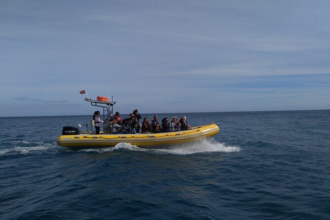 Boat Tour - Arrábida Coves - Price and value: what $41.94 buys you in real terms