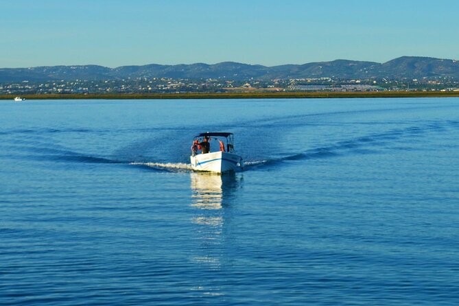 Boat Tour of 2 Ria Formosa Islands: Culatra and Armona - Stop Two, Armona Island or Desert Beach: Beach Time with a View Switch
